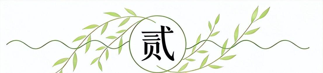 米洛耶维奇：两队都打出了非常高的水平，我们获得了成长和进步